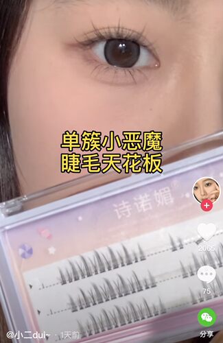 单簇小恶魔假睫毛诗诺q01分段