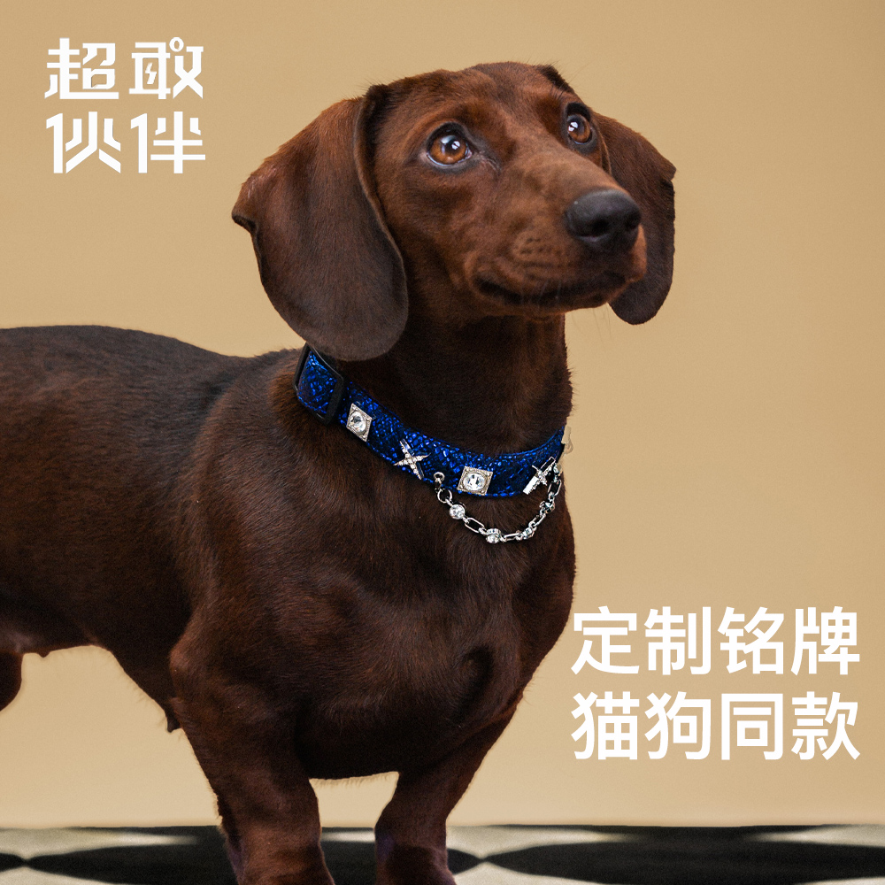 設計款寵物貓狗同款項圈
