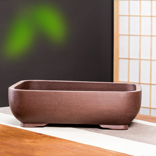 紫泥本色榕树老桩造景大口素面花盆簕竹老鸦柿金弹子绿植庭院盆