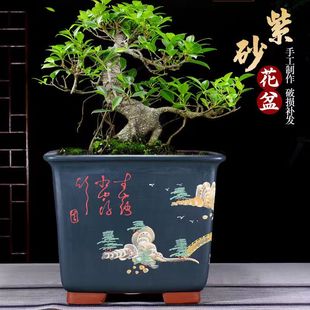 花盆手工绘画刻绘大口径四方黄杨榕树老桩瓢枝盆景盆造景