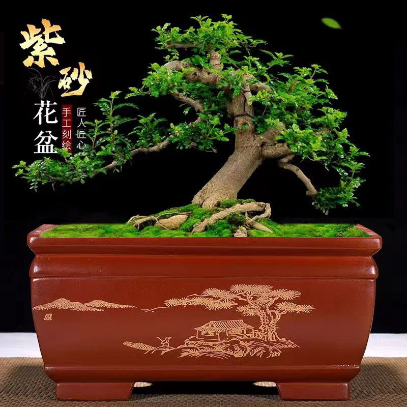 花盆大口径加深长方形盆景盆高温花盆阳台种植盆花盆图片