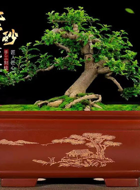 花盆大口径加深长方形盆景盆高温花盆阳台种植盆花盆