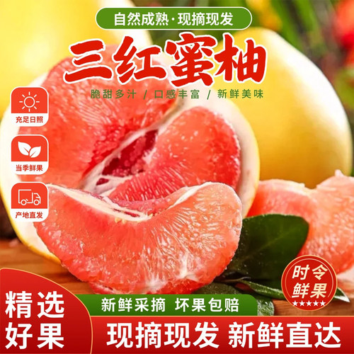 广西红心蜜柚现摘脆甜多汁直发