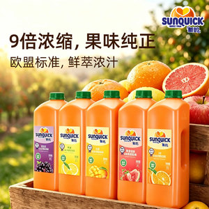 新的广州常温进口果浆
