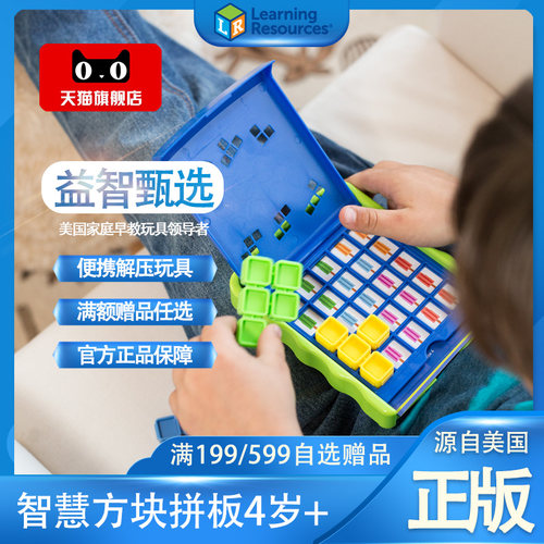 美国LR解谜拼板益智玩具逻辑思维