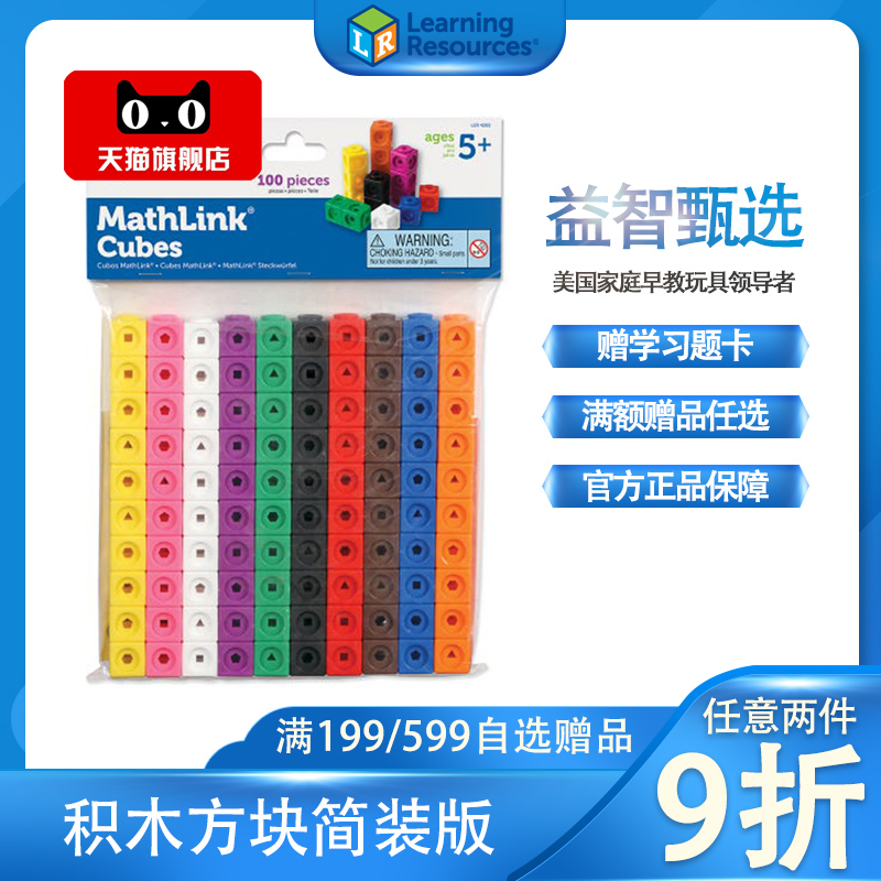 美国LR方块拼插积木数学益智玩具