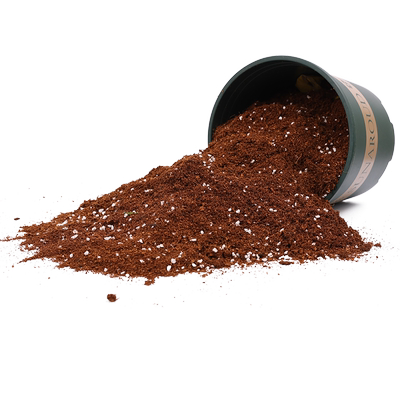 兰花专用土营养土轻质疏松透气