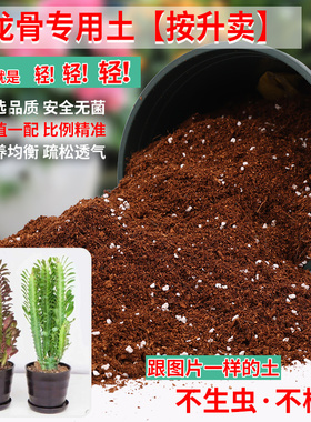 龙骨专用土龙骨花专用营养土盆栽肥料花泥土通用种植土壤养花种花