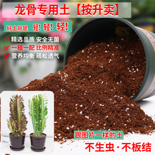 龙骨专用土营养土轻质疏松透气