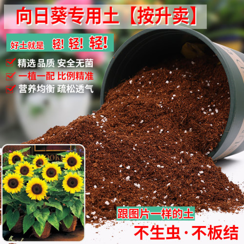 向日葵专用土营养土轻质疏松透气