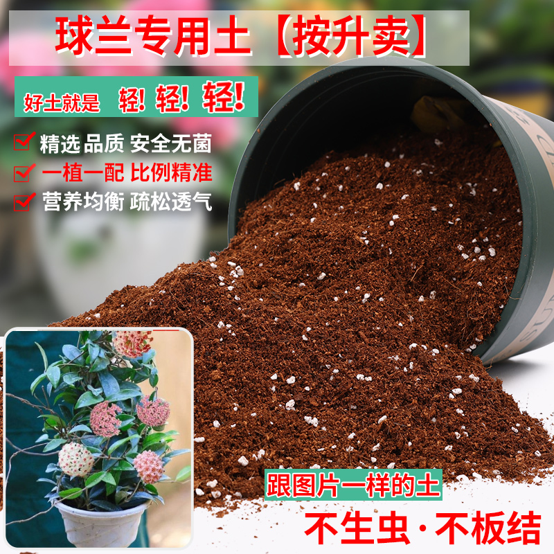 球兰专用土营养土轻质疏松透气图片