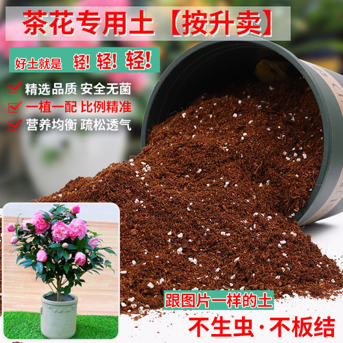 茶花专用土营养土轻质疏松透气