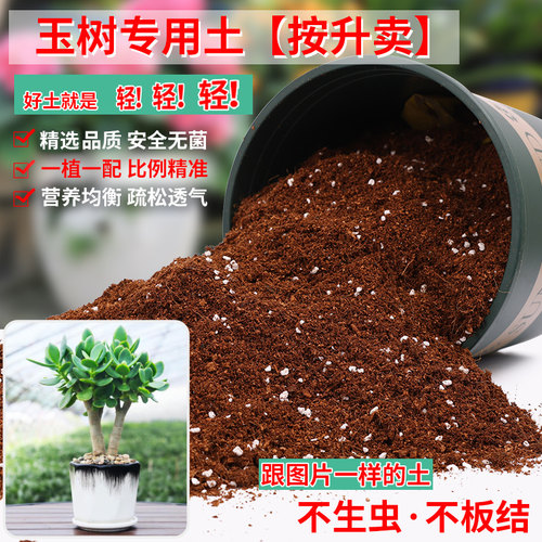 玉树专用土营养土轻质疏松透气