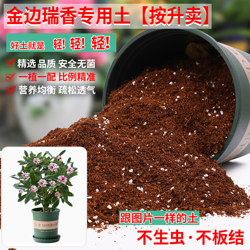 金边瑞香专用土盆栽种花泥土专用营养土通用透气种植土养花土肥料