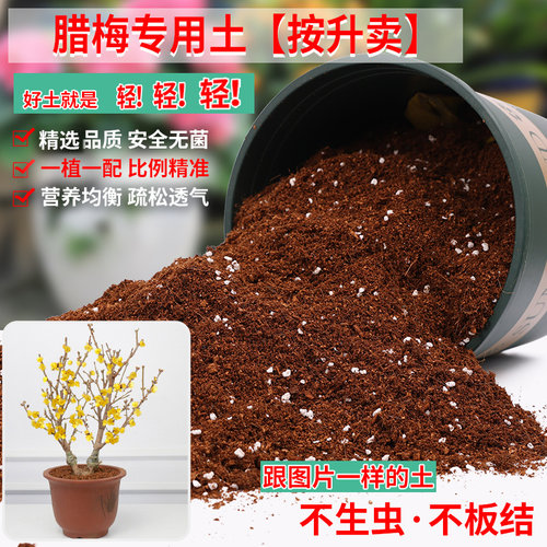 腊梅专用土营养土轻质疏松透气