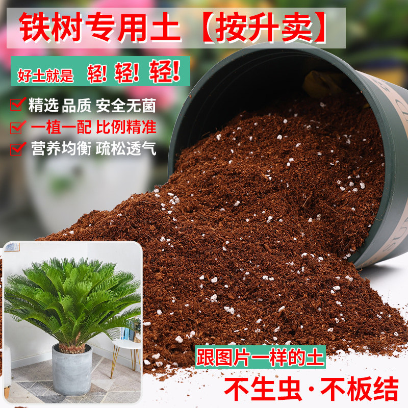 铁树专用土营养土透气通用土壤养花泥土家用种植土有机肥料培养土