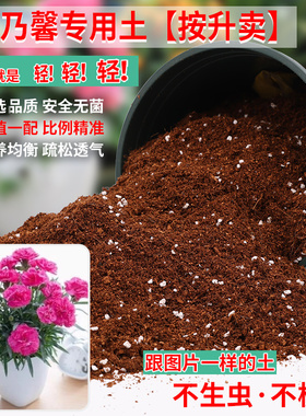 康乃馨专用土营养土盆栽土养花种花土通用种植有机土肥料花泥土壤