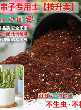 钱串子专用土营养土盆栽土养花种花土通用型家用种植土壤有机肥料