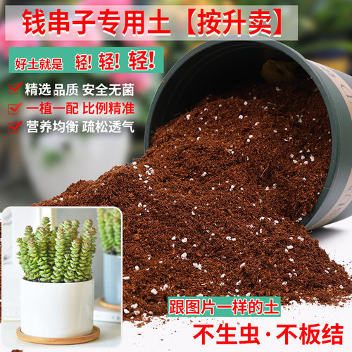 钱串子专用土营养土轻质疏松透气
