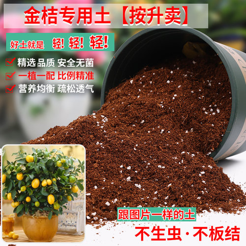 金桔树专用土营养土轻质疏松透气