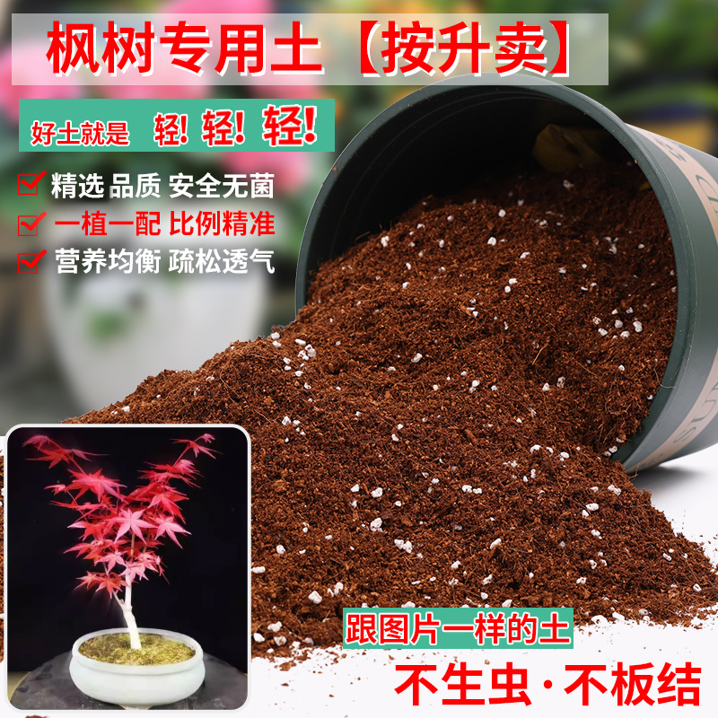 枫树专用土营养土轻质疏松透气