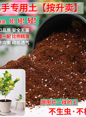 佛手专用土佛手盆栽树苗培植土果树柑桔种植通用型营养土新土特配