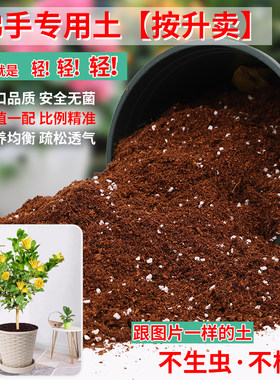 佛手专用土营养土疏松透气