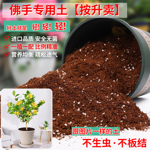 佛手专用土营养土疏松透气