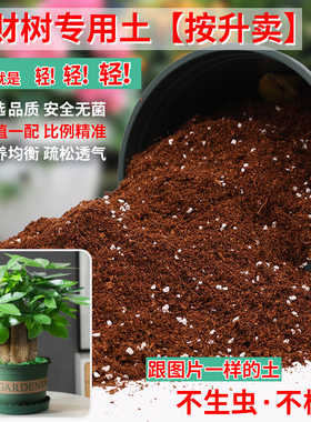 发财树专用土营养土种花专用通用型有机泥土家用盆栽绿植种植土壤