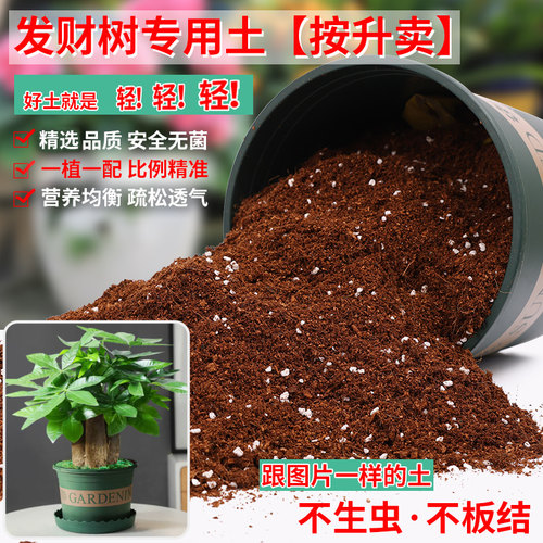 发财树专用土营养土轻质疏松透气