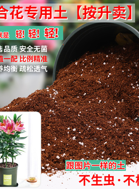 百合花专用土营养土养花通用型家用盆栽种花有机花泥土壤种植花土