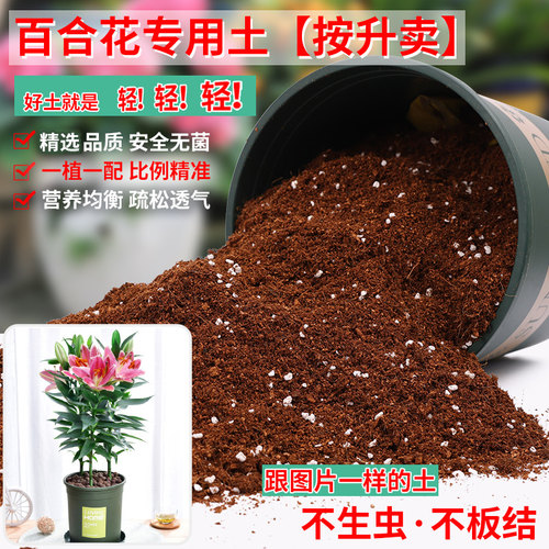 百合花专用土营养土轻质疏松透气