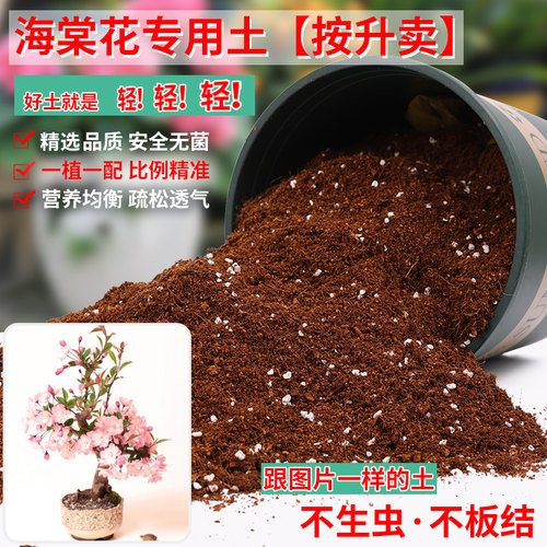 海棠花专用土营养土轻质疏松透气
