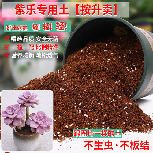 紫乐专用土营养土轻质疏松透气