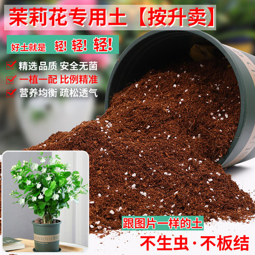 茉莉花专用土营养土轻质疏松透气