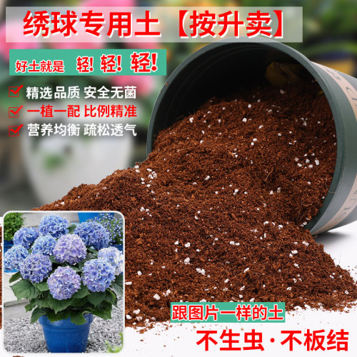 绣球专用土营养土轻质疏松透气
