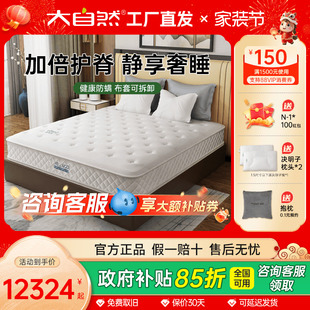 大自然乳胶山棕床垫硬垫棕垫棕榈护腰脊椎防螨抗菌家用定制苏菲雅