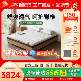 【新品】大自然山棕床垫家用护脊硬垫薄垫子可定制抑菌防螨森屿F5