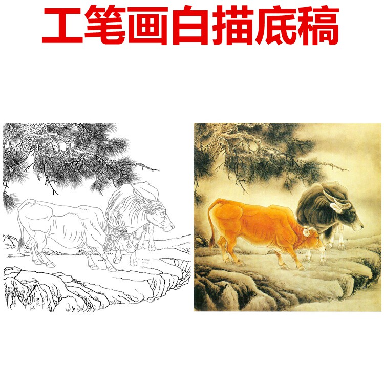 牛工笔画白描底稿熟宣纸画稿可以直接上色白纸线描稿过稿后再上色