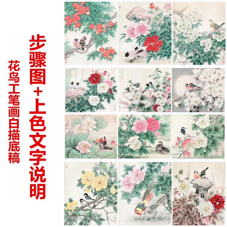 工笔画白描底稿花鸟线描步骤图+上色文字说明适合初学者临摹过稿