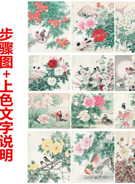 步骤图+上色说明工笔画白描底稿