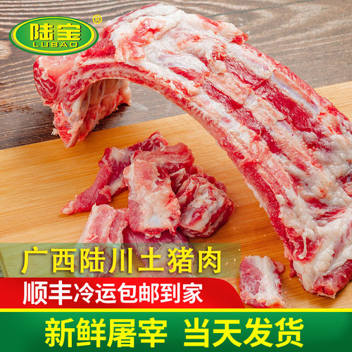 广西陆川土猪新鲜猪排猪肉排骨