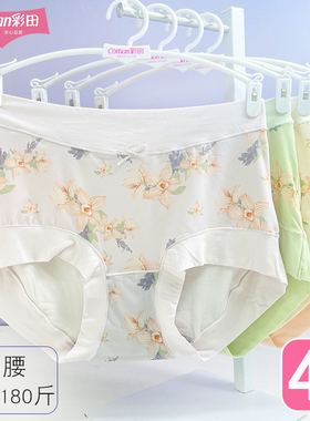 彩田冰丝莫代尔32706内裤女抗菌裆高腰包臀夏季薄款大码平角短裤