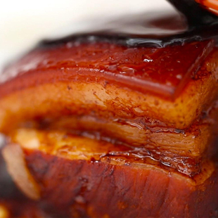 炖东坡红烧肉调料正宗商用家用东坡肉红烧料调料包增香炖肉包