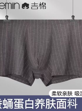 吉棉内裤1条装男士平角内裤条纹舒适四角内裤短裤/023408N