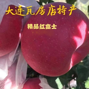 大连瓦房店红富士红香妃苹果脆甜多汁新鲜不打蜡清甜