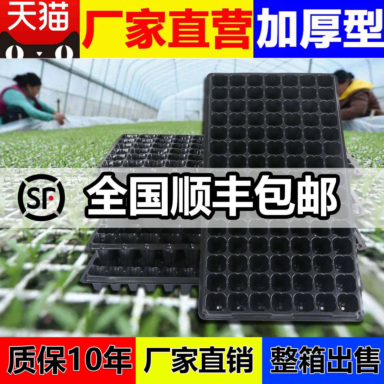 穴盘育苗盘育苗盒育苗盆蔬菜育苗盆塑料育苗器苗木多肉整箱箱
