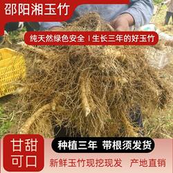 湖南邵阳现挖新鲜玉竹原生态中药材尾参新货农家大片玉竹片500g克