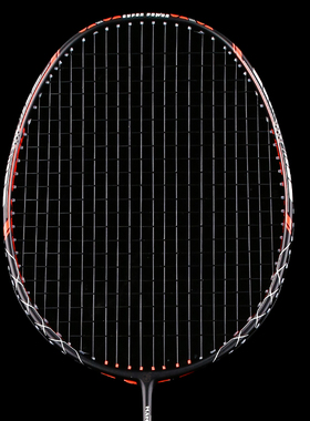 太蚁 羽毛球拍全碳素超轻单拍碳纤维8U专业训练比赛耐用型球拍