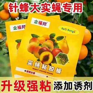 粘虫板防虫贴瓜果粘蝇纸柑橘灭蚊虫实蝇粘胶板果蝇诱粘板针蜂果园